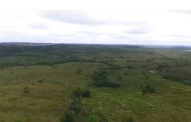 Imagem 10: Fazenda em Altamira - Pará - 470 Alqueires - Acesso de Asfalto