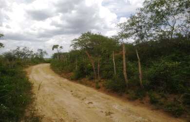 Imagem: O terreno possui 8.700m² de Área e está localizado em Água