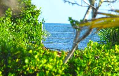 Imagem 16: Área de Praia para Venda em Santa Cruz Cabrália, Santo andré