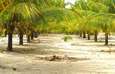 Imagem 5: Área de Praia para Venda em Santa Cruz Cabrália, Santo andré
