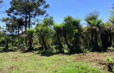 Imagem 3: Urubici - Terreno. 20.000m² de Área