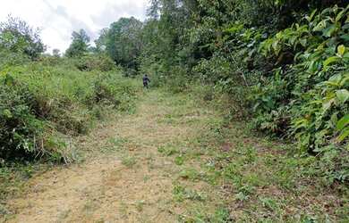Imagem 6: Fazenda Bela Vista a venda tem 1500 Hectares em Zona Rural - Rio Preto...