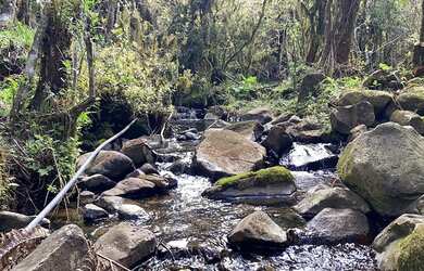 Imagem 11: Urubici - Terreno. 20.000m² de Área