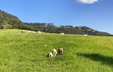 Imagem 3: Terreno - Urubici