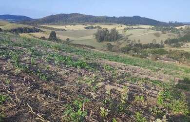 Imagem 2: Lote/Terreno para venda tem 500 metros quadrados em Campos de Atibaia...