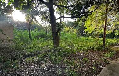 Imagem 4: Área a venda na Zona Oeste -53.000 m² Estrada de Sepetiba Santa Cruz/RJ