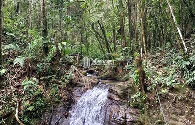 Imagem: A fazenda possui 24000m² de Área e está localizado em Alfredo