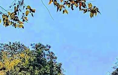 Imagem 15: VENDO RANCHO DE LAZER, NA BEIRA DO RIO URUCUIA