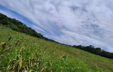 Imagem: Lotes à Venda em Ibiúna com Alto Potencial de Valorização
