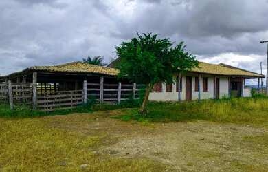 Imagem: A fazenda e está localizado em Ipirá, BA à venda por