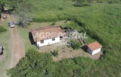 Imagem 3: Fazenda no Pará- Goianésia do Pará - 895 ha 185 alq