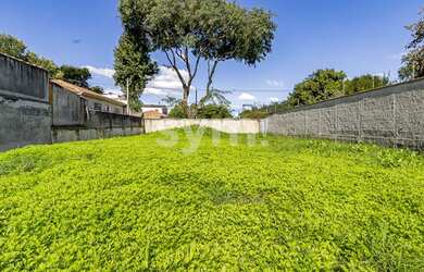 Imagem 5: CURITIBA - Terreno Padrão - Bacacheri