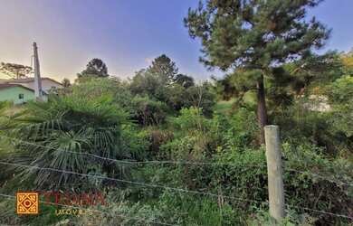 Imagem 4: Terreno - Urubici SC. 3.300m² de Área