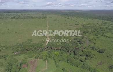 Imagem 7: Fazenda no Pará- Goianésia do Pará - 895 ha 185 alq