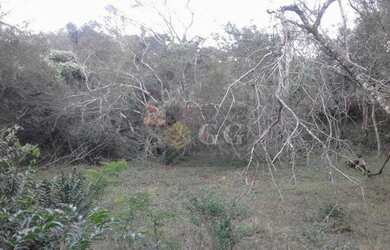 Imagem 4: Terreno à venda, 3366 m² por R$ 80.000,00 - Itapuã - Viamão/RS