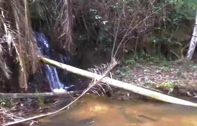 Imagem 16: Fazenda em Altamira - Pará - 470 Alqueires - Acesso de Asfalto