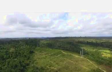 Imagem 8: Fazenda em Altamira - Pará - 470 Alqueires - Acesso de Asfalto