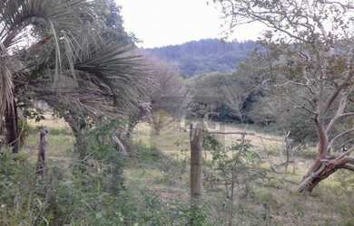 Imagem 1: Terreno à venda, 3366 m² por R$ 80.000,00 - Itapuã - Viamão/RS