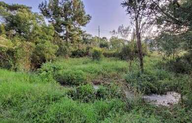 Imagem 7: Terreno - Urubici SC. 3.300m² de Área