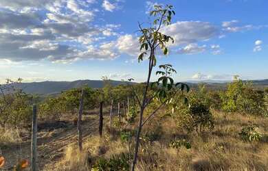 Imagem: Vendo chácaras mil m²
