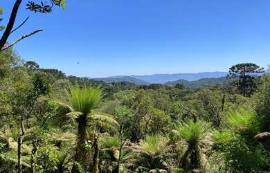 Imagem 4: Urubici - Terreno. 20.000m² de Área