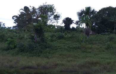 Imagem 4: Fazenda Bela Vista a venda tem 1500 Hectares em Zona Rural - Rio Preto...