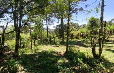 Imagem 15: Urubici - Terreno. 20.000m² de Área