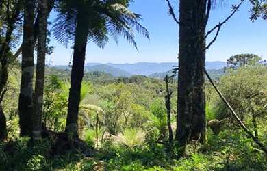 Imagem 6: Urubici - Terreno. 20.000m² de Área