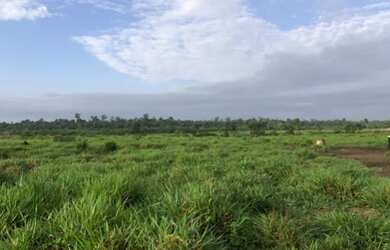 Imagem: A fazenda possui 1.020m² de Área e está localizado em Aeroporto