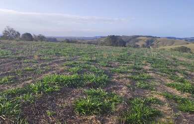 Imagem 5: Lote/Terreno para venda tem 600 metros quadrados em Jardim Colonial -...
