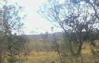 Imagem 4: Terreno Terreno / lote com venda por R$65.000