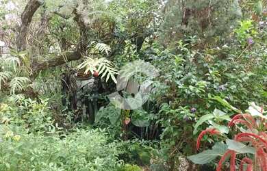 Imagem 4: Casa para venda com 300 metros quadrados com 4 quartos em São Francisco...