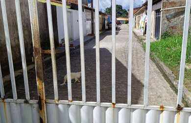 Imagem: O terreno está localizado em Rio Largo, AL à venda por R$30.000