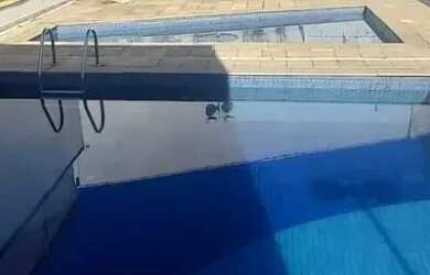 Imagem 10: Imóvel para aluguel tem 105 metros quadrados com 3 quartos em Alto Ipiranga...