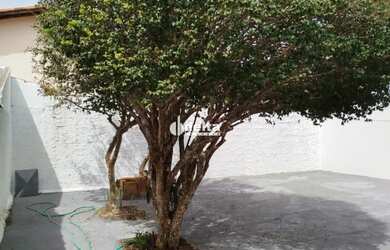 Imagem 11: Casa residencial com 3 quartos disponível para locação no bairro Tubalina...