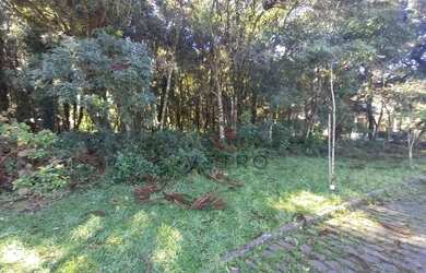 Imagem 5: Terreno à Venda em Canela