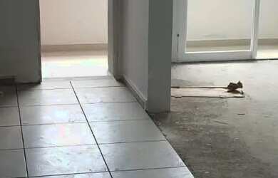 Imagem 10: Apartamento Freitas Sapucaia do Sul