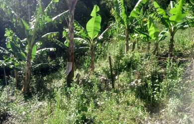 Imagem: A chácara possui 5.000m² de Área e está localizado em Jardim