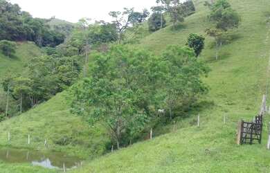 Imagem 2: Fazenda vendo / troco. 9.000m² de Área Privada