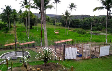 Imagem 5: Vendo excelente fazenda em catu