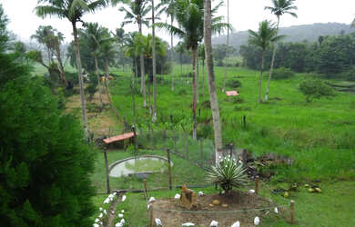 Imagem: A fazenda possui 120m² de Área e está localizado em Catu