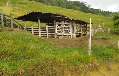 Imagem 5: Vendo Excelente Fazenda Em Gandu