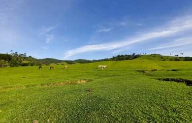 Imagem: A fazenda está localizado em Timbí, Camaragibe à venda por