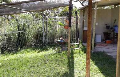 Imagem: A chácara possui 1.000m² de Área e está localizado em Pedra