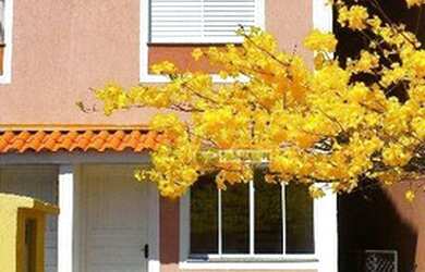 Imagem: A casa em condomínio possui 2 Dormitórios, 2 Banheiros, 2