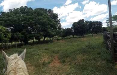 Imagem 9: Fazenda Buritis MG. 345m² de Área