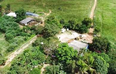 Imagem 11: LINDA FAZENDA DE 44 HECTARES A 45 km de Brasília