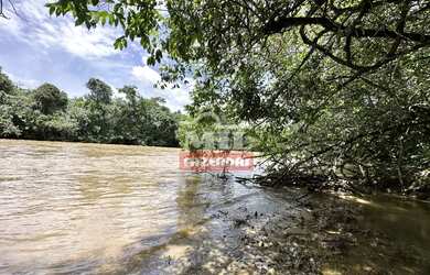 Imagem 7: Beira Rio - Chácara 1.36 alqueires 66.000 metros Santa Cruz de Goiás