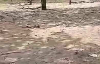 Imagem 4: Vende-se chácara c/ banho Próximo a Vila Recrear 40km de Boa Vista RR