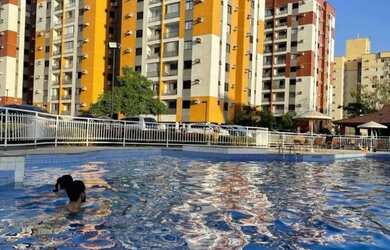 Imagem: O apartamento possui 2 Dormitórios, 2 Banheiros, 2 Vagas na